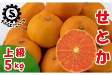 【2025年3月から発送】 せとか 約 5kg 上級 | 高級 みかん 蜜柑 愛媛 松山 柑橘 小玉 甘い おすすめ 中島商工会【あまや】