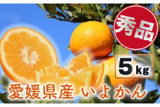 【先行予約】宮内いよかん 伊予柑 5kg 愛媛県産 秀品 【1月上旬～2月下旬発送】 いよかん 伊予柑 家庭用 柑橘 みかん 秀品 愛媛県 松山市