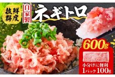 【1週間程度で発送】ネギトロ 600g ( 100g×6パック ) 冷凍 小分け 1人前 パック 自家製 鮪 まぐろ マグロ ねぎトロ 赤身 小分け マグロタタキ ねぎとろ 寿司 ネギトロ丼 愛媛県 松山市 バチマグロ 6000円 おすすめ人気