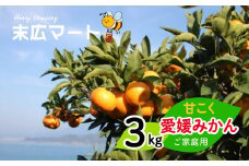【11月中旬から順次発送】甘こく愛媛みかん 瀬戸内の太陽と潮風で育ったご家庭用 3kg | 蜜柑 みかん 愛媛 松山 フルーツ 果物 くだもの 数量限定 期間限定 送料無料