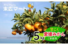 【11月中旬から順次発送】甘こく愛媛みかん 瀬戸内の太陽と潮風で育ったご家庭用 5kg | 蜜柑 みかん 愛媛 松山 フルーツ 果物 くだもの 数量限定 期間限定 送料無料 おすすめ人気