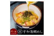 愛媛県産 宇和海鯛めし 2人前 × 2パック ( 4人前 ) 宇和島風 鯛めし 愛媛 松山 グルメ 魚 鯛 ごはん 鯛めし 鯛めし 鯛めし