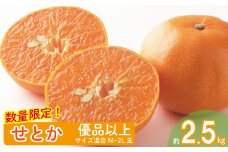 【2026年2月上旬から発送】せとか 優品以上 2.5kg M~2L玉 高級柑橘 みかん 柑橘 みかん フルーツ みかん ミカン みかん 蜜柑 柑橘 果物 くだもの フルーツ グルメ せとか セトカ 柑橘 フルーツ みかん 食べ比べ ミカン みかん 蜜柑 柑橘 果物 くだもの フルーツ おすすめ 高級 柑橘の大トロ「せとか」 人気 お取り寄せ ギフト 期間限定 数量限定 愛媛県 松山市