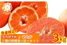 【2026年2月上旬から発送】宮内伊予柑とせとか 2種の柑橘食べ比べセット 3kg | せとか セトカ みかん 柑橘 みかん フルーツ みかん 食べ比べ ミカン みかん 蜜柑 柑橘 果物 くだもの フルーツ おすすめ 高級 伊予柑 イヨカン いよかん 柑橘の大トロ「せとか」 人気 お取り寄せ グルメ ギフト 期間限定 数量限定 愛媛県 松山市