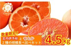 【2026年2月上旬から発送】宮内伊予柑とせとか 2種の柑橘食べ比べセット 4.5kg | せとか セトカ みかん 柑橘 みかん フルーツ みかん 食べ比べ ミカン みかん 蜜柑 柑橘 果物 くだもの フルーツ おすすめ 高級 伊予柑 イヨカン いよかん 柑橘の大トロ「せとか」 人気 お取り寄せ グルメ ギフト 期間限定 数量限定 愛媛県 松山市