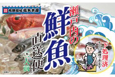 【嶋矢水産】 瀬戸内の鮮魚 直送便 下処理済み 産地直送 10000円 台 二人前 刺身 煮魚 焼き魚 瀬戸内海 愛媛 松山 老舗 魚 人気 イサキ タイ 鯛 ワカナ サワラ 鰆 炙り メバル オコゼ イサキ チダイ タチウオ