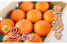 愛果28号 約 2.5kg 池本果樹園 あいか 愛果 みかん 柑橘 蜜柑 フルーツ 先行予約 松山市 愛媛県 数量限定 【 2024年 12月発送  2025年1月発送 】