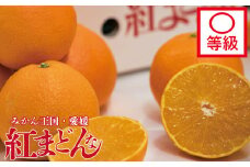 【先行予約】【2025年11月下旬以降順次発送】数量限定 紅まどんな 〇等級 化粧箱 L玉～5L玉 高級 紅まどんな 柑橘 フルーツ 個包装 紅マドンナ 果物 おすすめ柑橘紅まどんな 高級柑橘の紅まどんな くだもの 人気 おすすめ 贈答 ギフト 紅まどんな 愛媛県 松山市 送料無料 えひめのフルーツ紅まどんな マドンナ まどんな