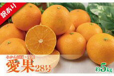 【先行予約】【2025年11月下旬以降順次発送】 訳あり みかん 愛果28号 約5kg あいか アイカ みかん 紅まどんな 紅マドンナ と同品種 柑橘 果物 くだもの フルーツ みかん ミカン mikan mican 不揃い 傷 ワケアリ 訳アリ 愛媛県 松山市
