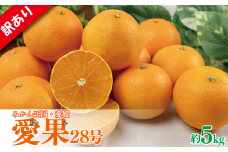【先行予約】【2025年11月下旬以降順次発送】 訳あり みかん 愛果28号 約5kg あいか アイカ みかん 紅まどんな 紅マドンナ と同品種 柑橘 果物 くだもの フルーツ みかん ミカン mikan mican 不揃い 傷 ワケアリ 訳アリ 愛媛県 松山市