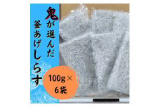 【 数量限定 】釜揚げ しらす 600g ( 100g × 6P ) 冷凍 小分け 釜揚しらす 魚 常備品 しらす丼 しらすパスタ 小分け しらす 愛媛県 松山市