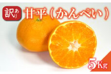 訳あり 甘平 約5kg かんぺい 柑橘 みかん 愛媛県 松山市