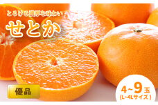 【2月中旬から発送】 せとか ＜ 優品 ＞ 優品（L～4L / 4～9玉）| みかん せとか 優品 柑橘 愛媛県 松山市 松山市産せとか 柑橘の大トロ「せとか」 柑橘 みかん ミカン せとか 優品せとか ふるさと納税せとか