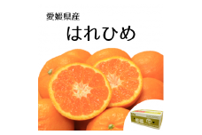 【2025年1月上旬より順次発送予定】はれひめ 5kg 愛媛県産 柑橘 みかん サイズおまかせ 万田酵素 MARUTAMA果樹園 玉井農園 愛媛県 松山市