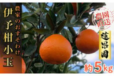 【先行予約】 【2026年1月から発送予定】 宮内伊予柑 家庭用 小玉 5kg サイズ混合 柑橘 みかん 果物 くだもの フルーツ おすすめ 人気 お取り寄せ グルメ ギフト 期間限定 数量限定 ご当地 愛媛県 松山市