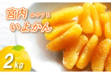 【2026年1月上旬から順次発送】 宮内いよかん 2kg