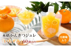 かんきつジュレ 「いちずみ」 10個入り【化粧箱入り】1.7kg (170g×10個) | みかんジュレ ゼリー みかんゼリー 柑橘ゼリー 柑橘ジュレ みかんぜりー ミカンゼリー  果物 みかん スイーツ フルーツ フルーツゼリー 蜜柑ゼリー みかん ミカン 蜜柑 mikan 愛媛県 松山市 ココオ Koko'o