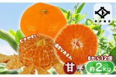 【2024年1月下旬から発送】 甘平 かんぺい ◯等級から優級 約2kg L-2L 8から12個 | 高級 柑橘 みかん 蜜柑 愛媛 松山 10000円 甘い  高級 柑橘 みかん 蜜柑 愛媛 松山 10000円 返礼品 甘い 大玉 みかん みかんランキング 上位