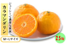 ★発送は4月下旬～★ カラマンダリン 2.5kg（MからLサイズ）