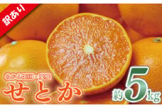 訳あり せとか  約5kg 愛媛みかん 家庭用 せとか セトカ みかん ミカン 蜜柑 mikan 高級柑橘 果物 くだもの フルーツ デザート 果実 青果 国産 産地直送 愛媛県 松山市