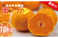 訳あり みかん 家庭用 ポンカン S〜2L玉 約10㎏ ( 訳あり みかん 訳あり柑橘 訳あり商品 ポンカン ぽんかん みかん 柑橘 松山 愛媛県 )