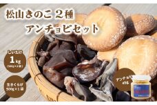 菌床しいたけ 1kg (500g × 2袋 ) 生きくらげ 500g アンチョビ 45g セット | しいたけ きくらげ 椎茸 しいたけ 国産 しいたけ 椎茸 きくらげ アンチョビ 野菜 しいたけ 椎茸 きくらげ しいたけ 椎茸 きのこ しいたけ 椎茸 きくらげ しいたけ 椎茸 おつまみ アヒージョ しいたけ きくらげ 詰め合わせ 期間限定 しいたけ きくらげ ISフーズ 愛媛県 松山市
