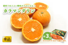 【2026年4月上旬頃から発送予定】カラマンダリン ＜秀品＞ 約3kg (M-L) ギフトBOX入り | みかん カラマンダリン 秀品 オレンジ 柑橘愛媛県 松山市 ココオ Koko'o