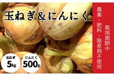 自然栽培 玉ねぎ 5kg ＆ にんにく 500g | 野菜 玉ねぎ タマネギ にんにく 農薬 不使用 期間限定 愛媛県 松山市