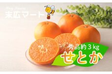 【2026年3月上旬ごろから発送予定】せとか 約 3kg (9~13玉) | 3月発送 柑橘 蜜柑 みかん ミカン  秀品 愛媛 松山市 柑橘 高級 糖度 