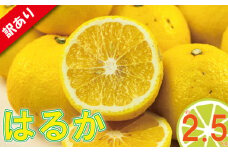 訳あり みかん 家庭用 はるか 約2.5kg ( 訳あり みかん 訳あり柑橘 訳あり商品 はるか みかん 柑橘 松山 愛媛県 )