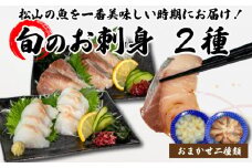 <冬のお届け> 旬のお刺身 2種類 (2~3人前×2種類) 魚 切身 鮮魚 刺身セット 刺身2種盛り 刺身 お刺身 お刺し身 魚介 海の幸 小分け 個包装 冷凍 鯛 カワハギ スズキ イカ サワラ タコ ハマチ ヒラメ 愛媛県 松山市
