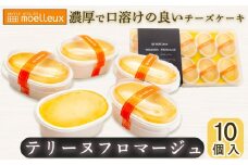 テリーヌフロマージュ10個セット ｜ チーズ  ケーキ スイーツ 母の日  ひな祭り  クリスマス 冷凍  人気 ランキング ギフト 保存  愛媛県 松山市