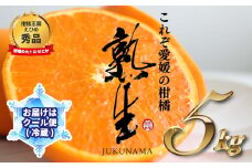 熟生 せとか 秀品 Lサイズ 5kg 冷蔵配送 要冷蔵保管 2025年 5月発送 柑橘 くだもの 愛媛 松山 サンマルシェ