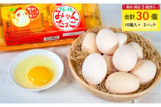 【6月発送】媛っ娘 みかんたまご 30個 ※割れ保証5個含む 卵 たまご タマゴ 玉子 卵料理 卵かけごはん TKG エッグ egg 松山 愛媛県