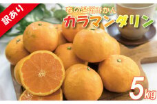 訳あり カラマンダリン 春みかん 2S-3L 約5kg