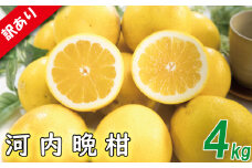 訳あり 河内晩柑 サイズ不揃い 約4kg