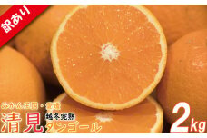 訳あり 清見タンゴール M-3L 約2kg