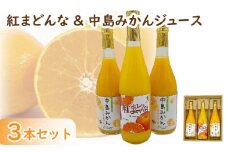  紅まどんな&中島みかん３本 セット | みかん 蜜柑 マドンナ 高級 愛媛 松山 お祝い ギフト 贈答 プレゼント