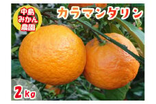 【2025年5月から発送】春 みかん カラマンダリン 家庭用 2kg ｜みかん 蜜柑 旬 わけあり 訳あり 甘い 柑橘 果物 フルーツ 糖度 愛媛 松山