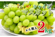 【先行予約】シャインマスカット約 2kg(4～5 房入り) | 伊台・高原ぶどう シャインマスカット 果物 フルーツ マスカット ぶどう シャインマスカット 愛媛県 シャインマスカット 松山市産 シャインマスカット