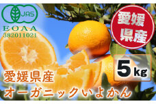 【先行予約】 有機JAS認証 超希少！ 愛媛県産 オーガニック いよかん５kg【1月上旬～2月下旬発送】  安心 安全 こだわり栽培 みかん いよかん 伊予柑 柑橘 愛媛県 松山市