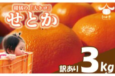 【愛媛県産】 訳あり せとか 約3kg ＜2月下旬～発送予定＞ 柑橘 みかん せとか セトカ 果物 くだもの フルーツ おすすめ 高級 人気 お取り寄せ グルメ ギフト 期間限定 数量限定 ご当地 愛媛県 松山市 たかぎ果樹園