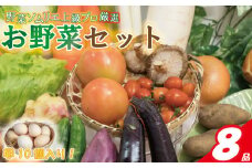 【野菜ソムリエ上級プロ厳選】 野菜セット 8品 ( みかんたまご 10個入り ) | 新鮮 野菜 セット 詰め合わせ 卵 たまご 旬 産地 直送 国産 季節の野菜 愛媛県 松山市