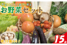 【野菜ソムリエ上級プロ厳選】 野菜セット 15品 ( みかんたまご 10個入り ) | 新鮮 野菜 セット 詰め合わせ 卵 たまご 旬 産地 直送 国産 季節の野菜 愛媛県 松山市