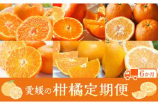 【定期便6回】えひめかんきつ定期便 2024 みかん 定期便 紅まどんな 伊予柑 いよかん 甘平 定期便 かんぺい せとか 定期便 河内晩柑 国産 フルーツ 果物 定期便 愛媛 松山 定期便 オススメ 人気