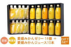 【ジュース10本ハンディゼリー14個】愛媛みかん 果汁100% ストレートジュースとゼリーのギフトセット 10 FACTORY |みかん 柑橘 手提げ袋付 オレンジ 国産 贈答 内祝い お返し お見舞い お供え お中元 お歳暮 プレゼント 愛媛 松山