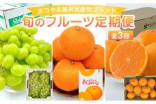 【ふるさと納税】【先行予約】【全３回】旬のフルーツ まつやま農林水産物ブランド 定期便 フジ・アグリフーズ ( みかん 愛媛蜜柑 愛媛ミカン みかん ミカン mikan 蜜柑 柑橘 フルーツ 果物 シャインマスカット ぶどう 数量限定 人気 おすすめ 愛媛県 松山市 送料無料)