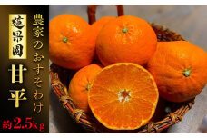 【1月下旬から発送予定】 甘平  家庭用 約2.5 kg Sから4Lサイズ混合 | 柑橘 みかん 蜜柑 果物 くだもの フルーツ おすすめ 国産 高級 人気 お取り寄せ グルメ ギフト 期間限定 数量限定 ご当地 愛媛 松山