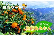 【11月中旬ごろから順次発送】ごご島みかん 約5kg | みかん 蜜柑 柑橘 青果 