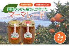 みかん マーマレード 150g×2 ｜  柑橘  みかん加工品 ギフト 無添加 マーマレード ジャム フルーツ 伊予柑 ブラッドオレンジ 夏みかん レモン 果物 くだもの 愛媛みかん  スイーツ 産地直送 ご当地 愛媛県 松山市